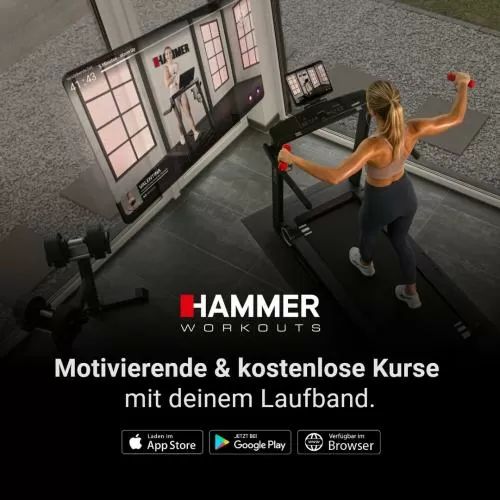 Hammer FlyRun 4.0 Laufband - schwarz